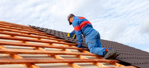 Best Rubber Roofing (EPDM, TPO)  in Vla Grove, IL